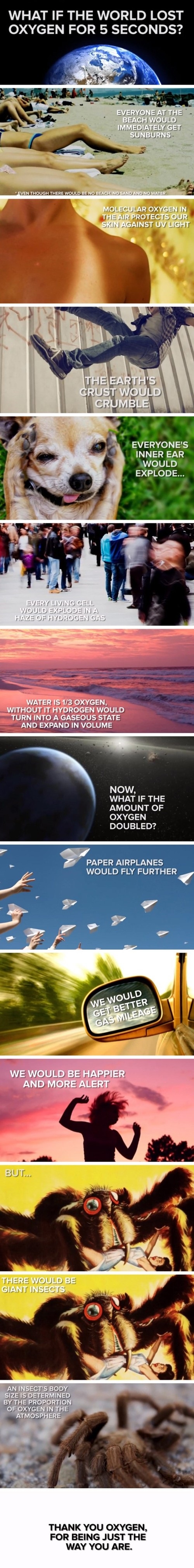 World without oxygen
