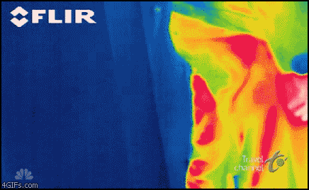Thermal fart