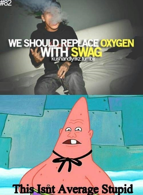 This isn't average stupid