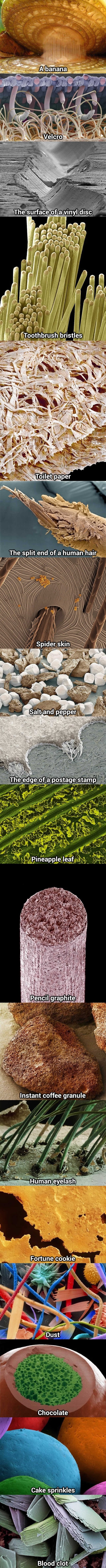 Things under microscope