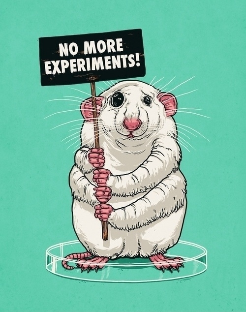 No more experiments!