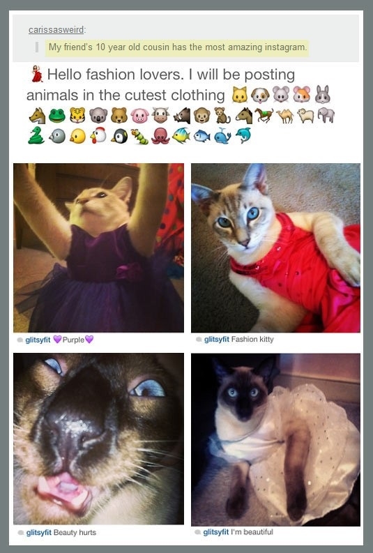 Amazing instagram account