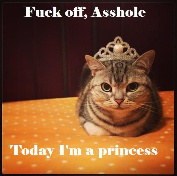 Today I'm a princess