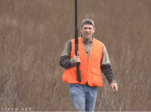 Bird hunting