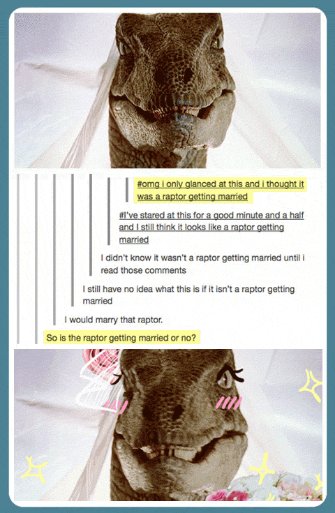 Aww I'd marry that raptor