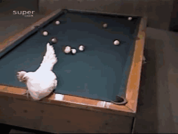 Guy plays pool with c**k