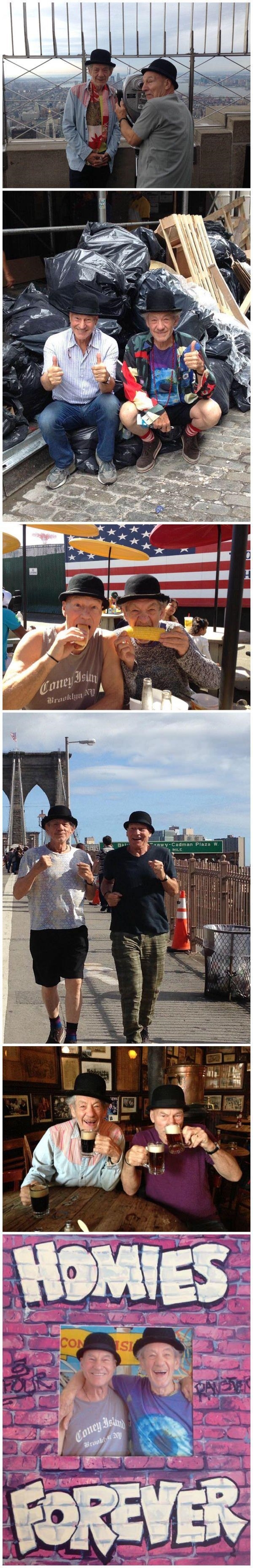 Gandalf and Picard