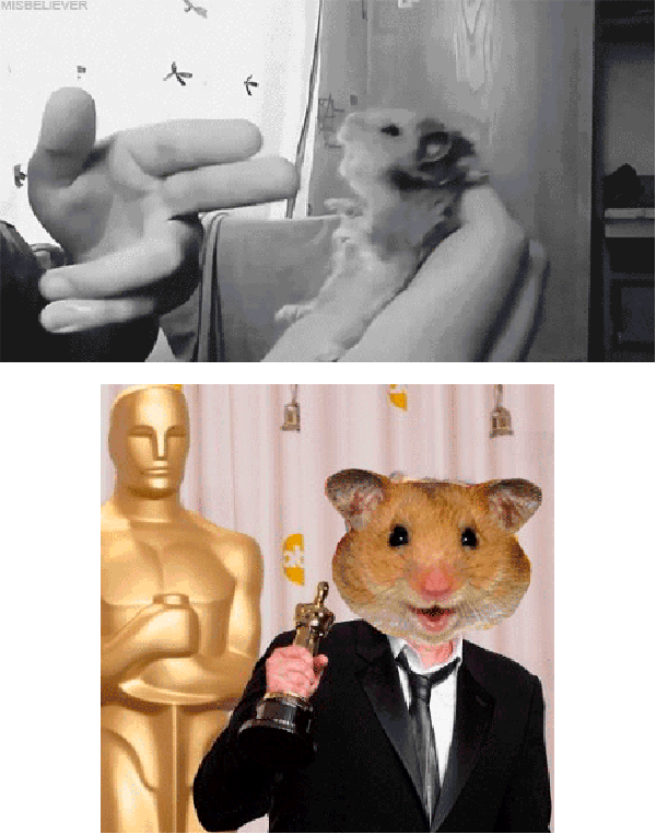Oscar for best fake death
