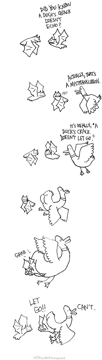 Duck's quack