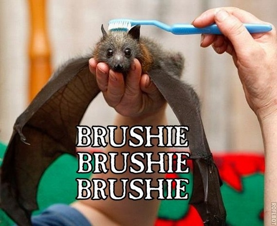 Brushie brushie