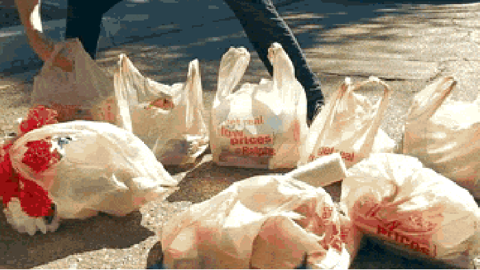 One trip!