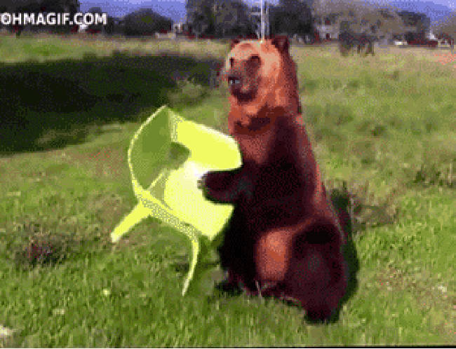 If I fits, I sits.