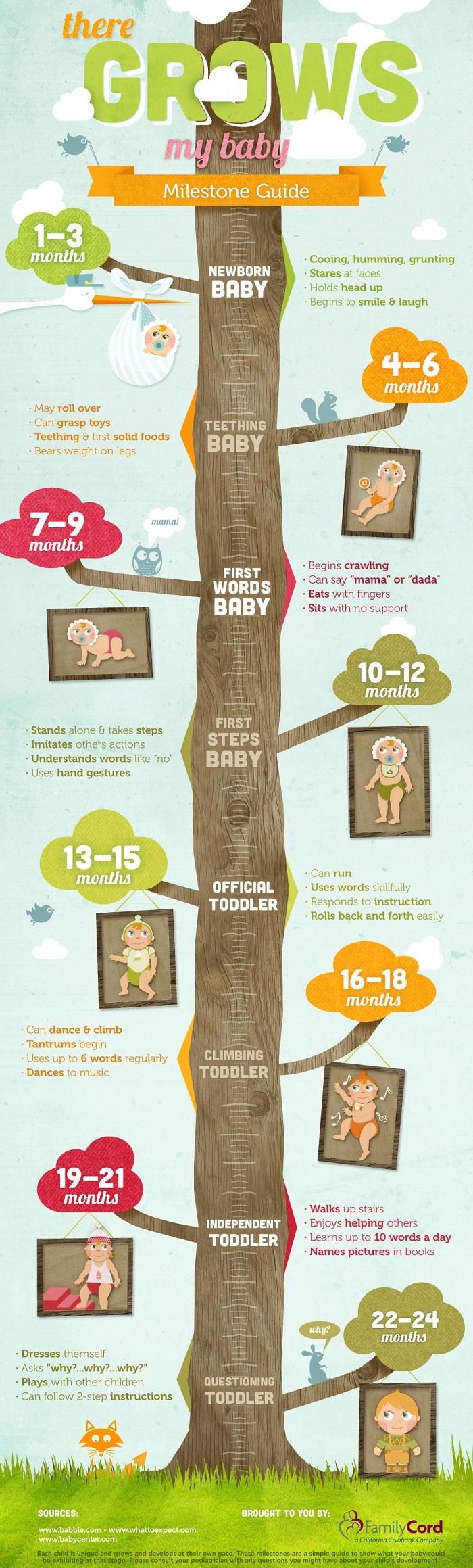 Baby Growth