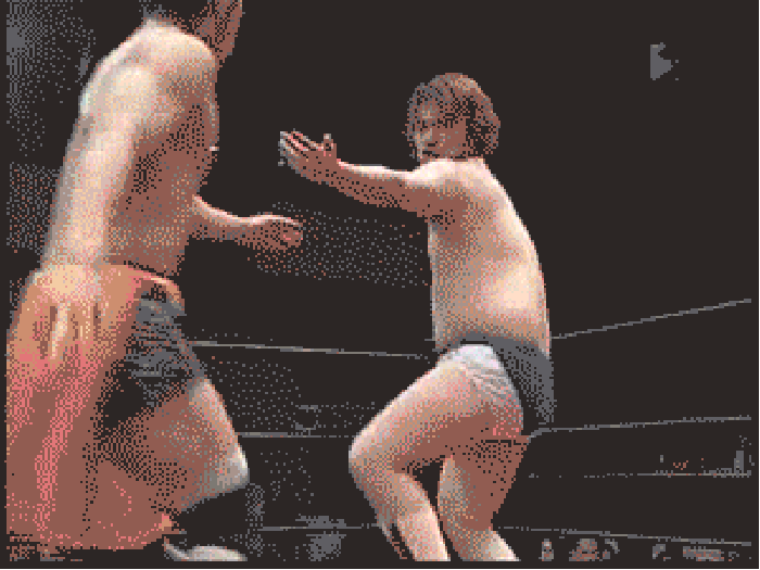 Japanese Pro Wrestling
