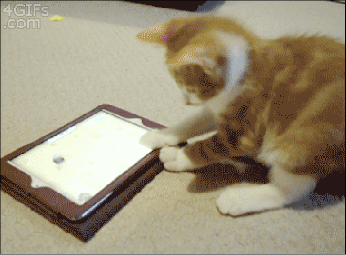 Frustrated gamer