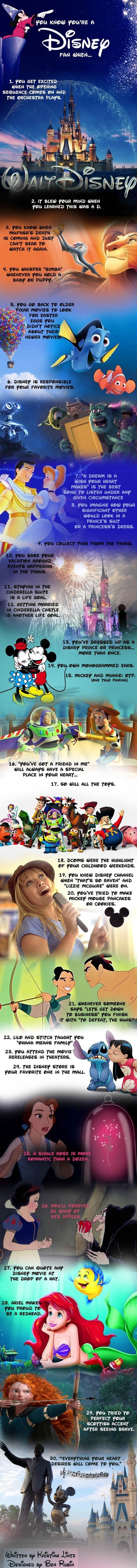Disney fans