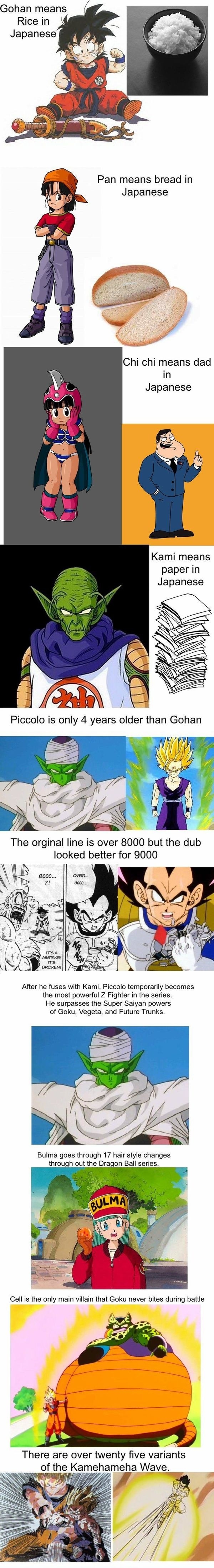 Funny DBZ facts