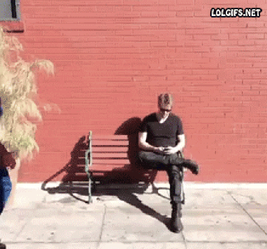 Average day at the park