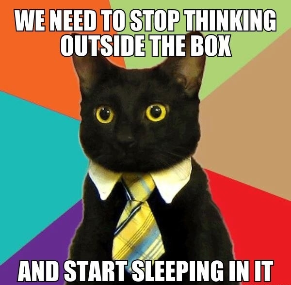 Business cat