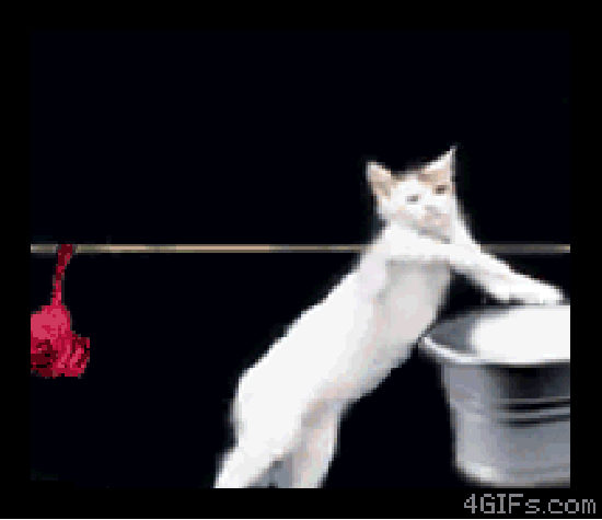 Just watch it
