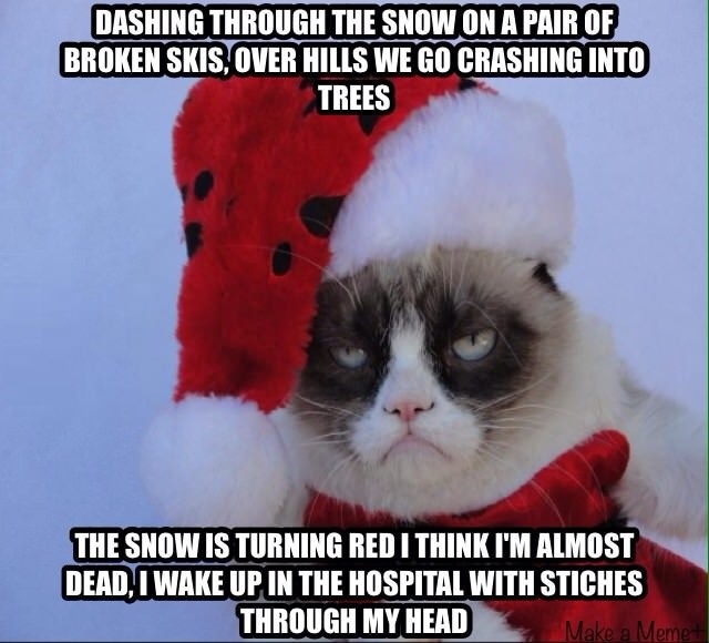 Grumpy cats jingle bells