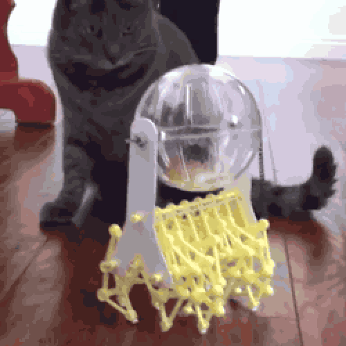 Hamster-powered walker