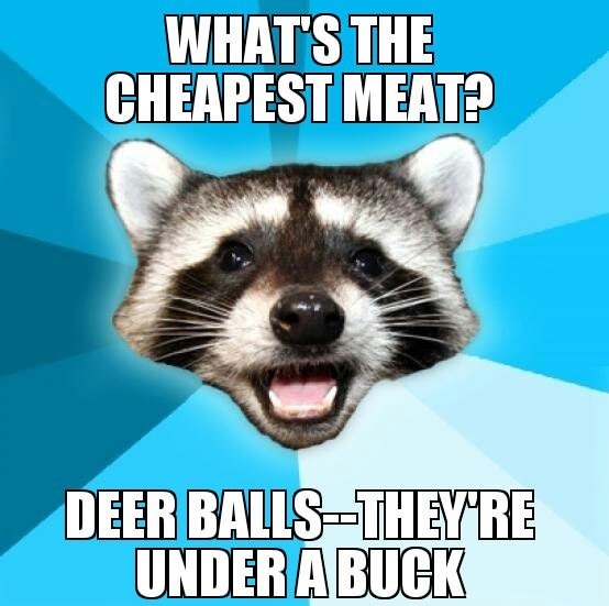 Lame pun coon