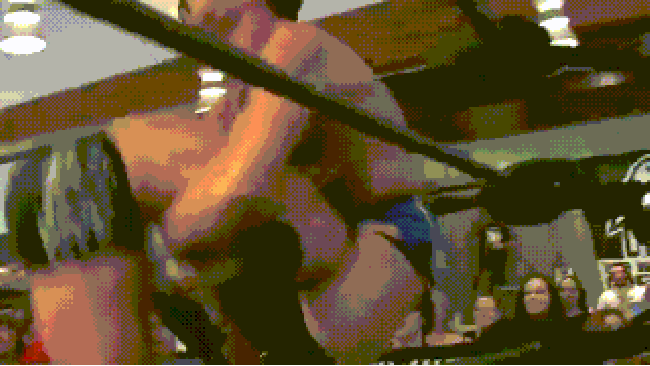 Lego wrestling