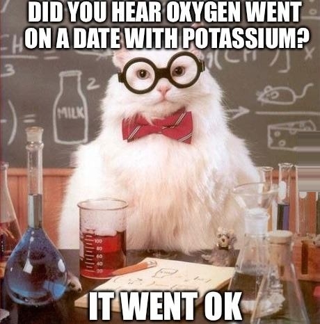 Chemistry cat