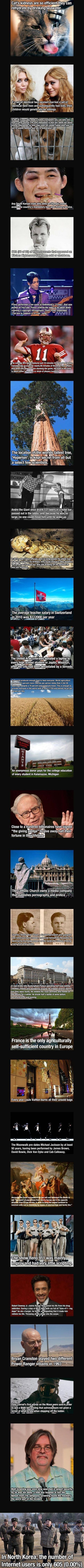 Interesting Facts