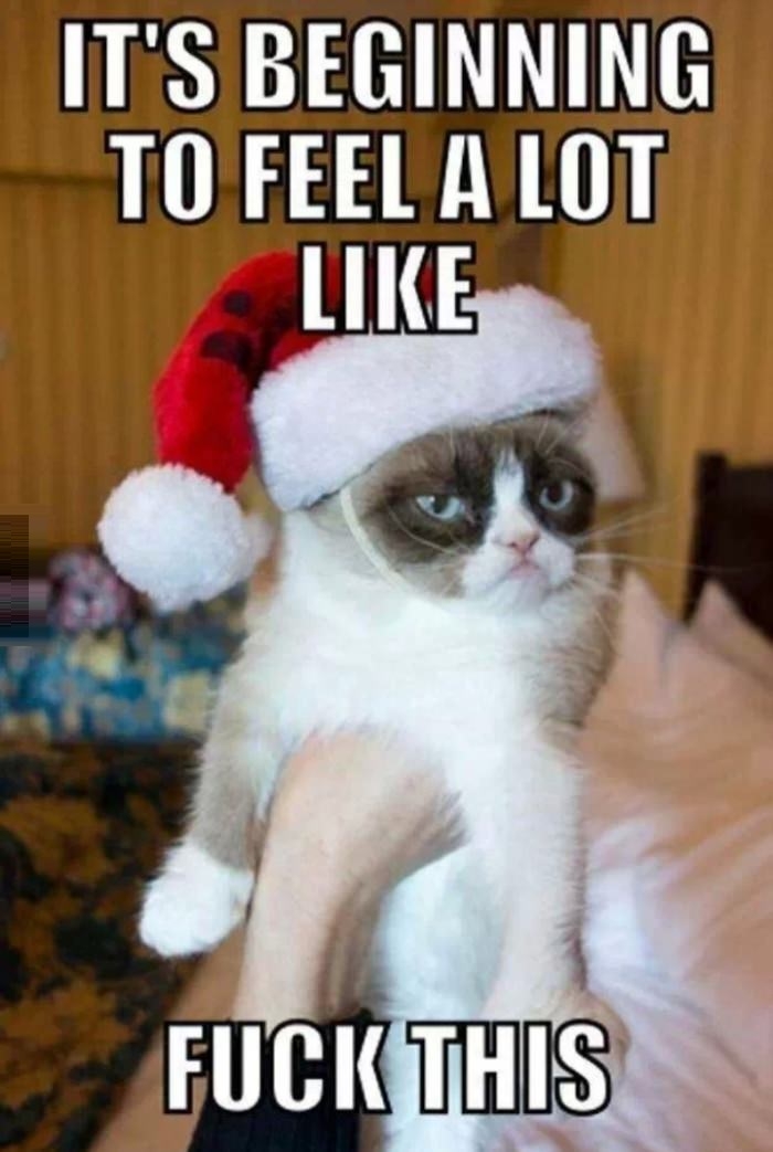 My sentiments exactly