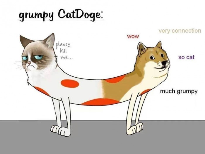 Grumpy CatDoge