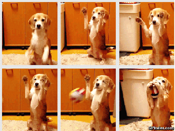 How to catch a ball