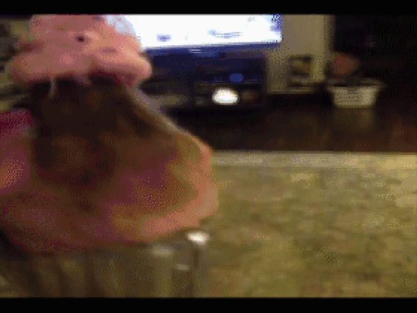 I'm a cupcake!