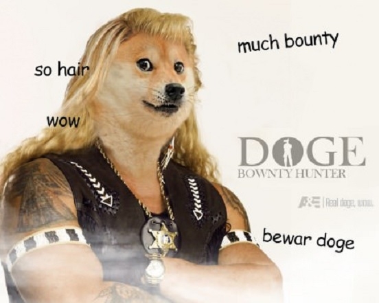 Doge the Bounty Hunter