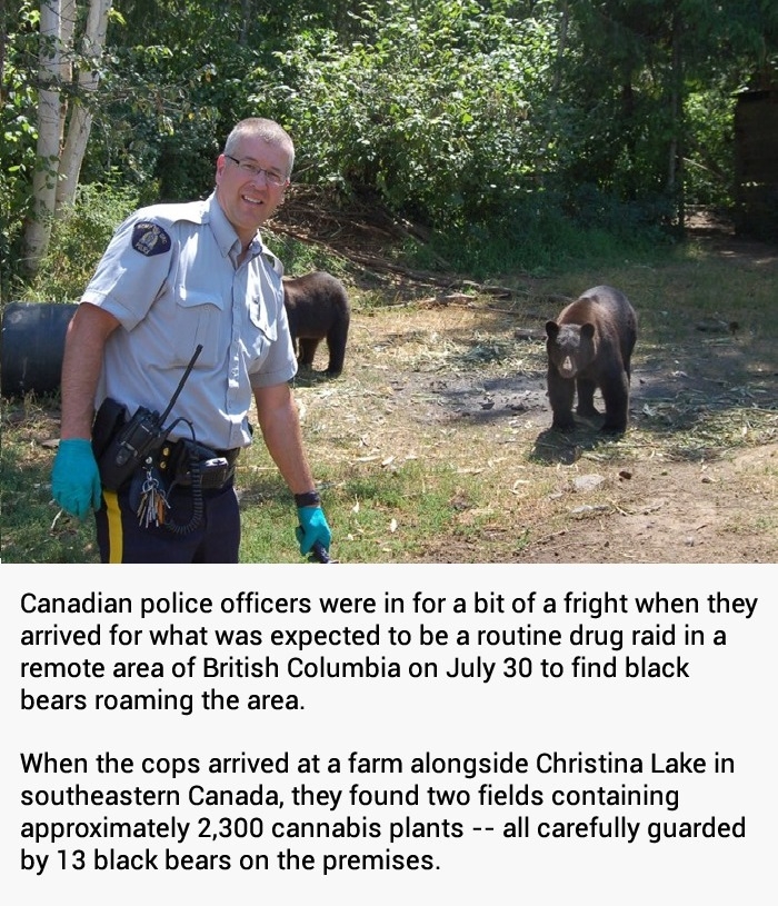 Only in Canada
