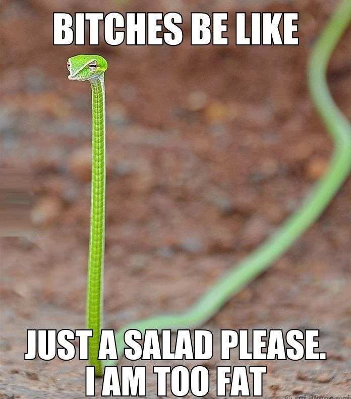 B*tches be like..