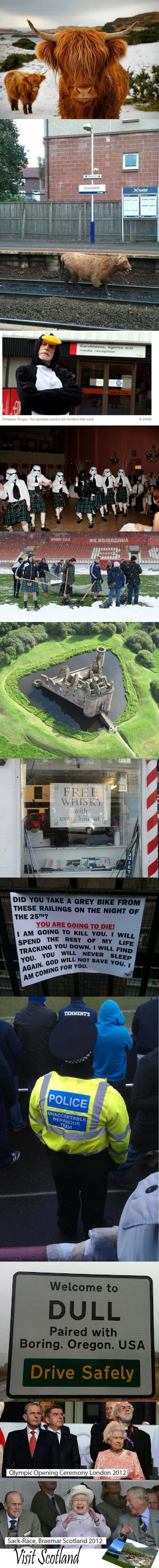 Meanwhile in Scotland