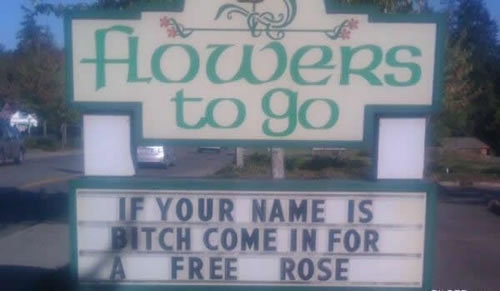 B*tch Gets A Free Rose