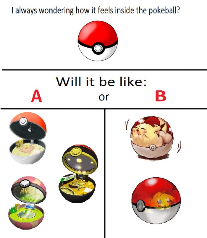 Inside a pokeball