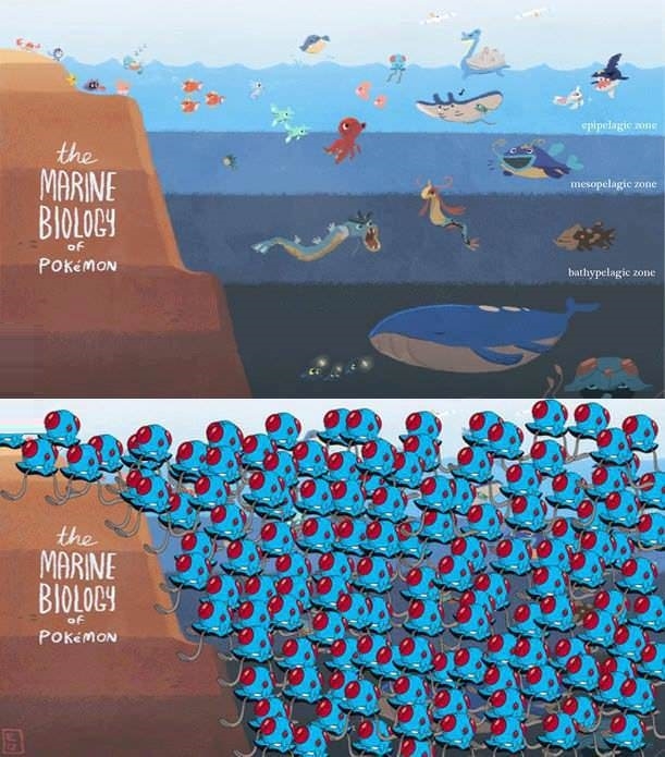 Pokemon's marine biology