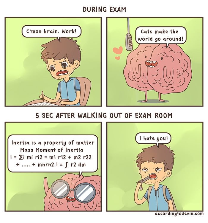 Scumbag brain