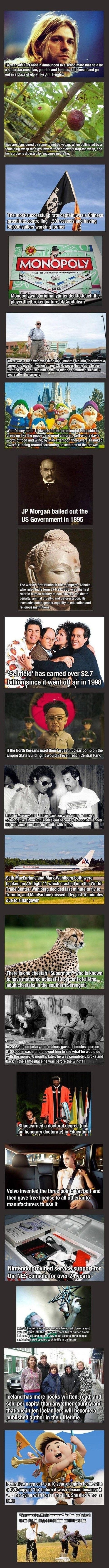 Interesting Facts