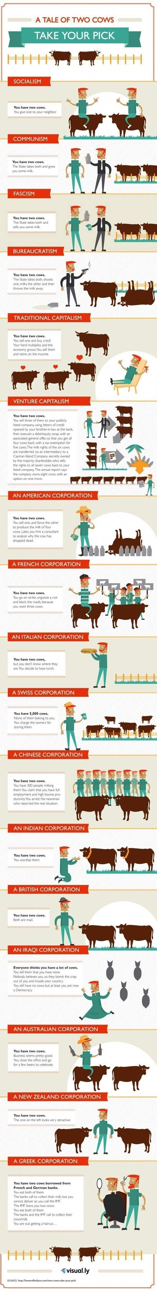 A tale of two cows