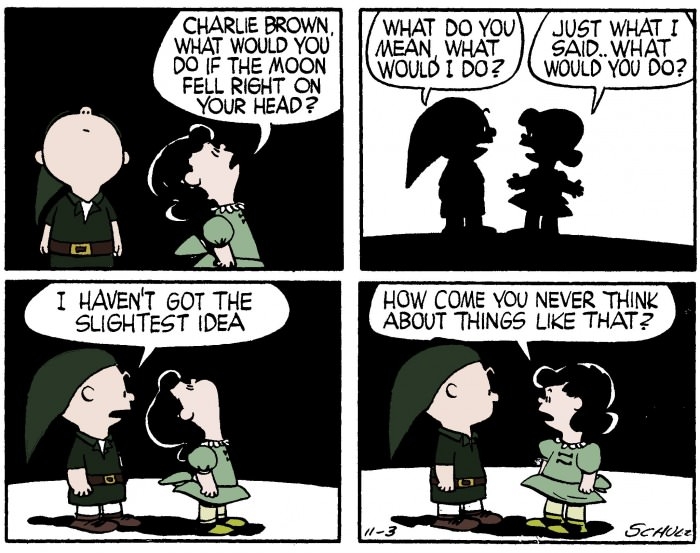 Peanuts life in Zelda universe