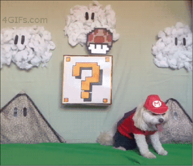 Super Mario Bros for dogs