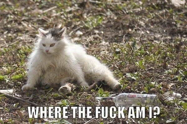Where the f**k am I?!