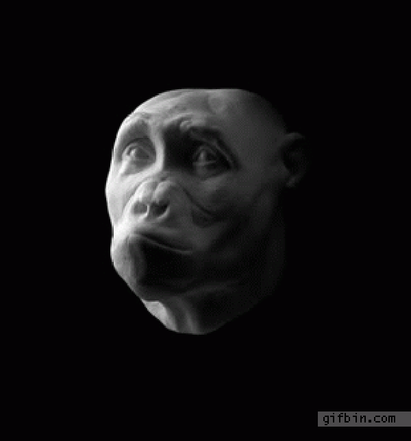 Evolution of ape to man