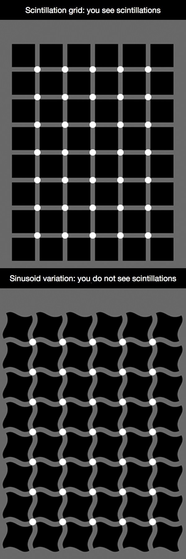 Hermann grid illusion