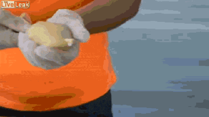 Fried potato on a stick